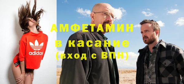 индика Арсеньев
