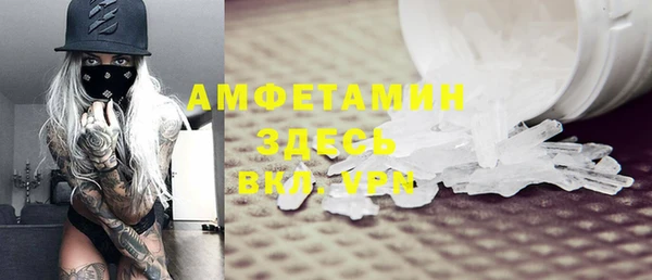 индика Арсеньев