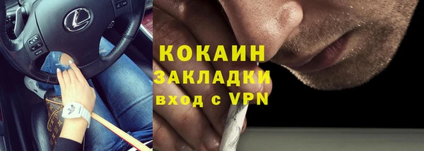 индика Арсеньев