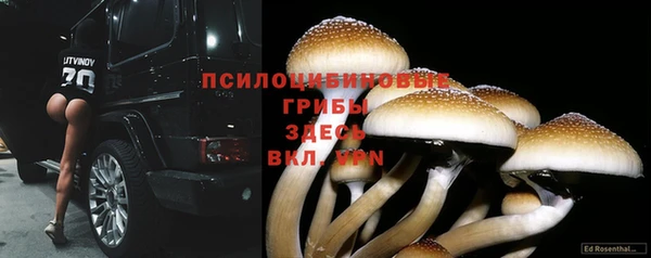 гашиш Аркадак
