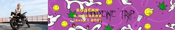 стаф Новозыбков
