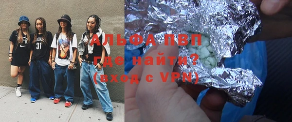 индика Арсеньев