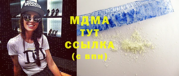 индика Арсеньев