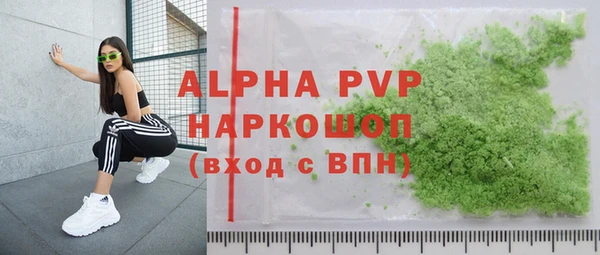 индика Арсеньев