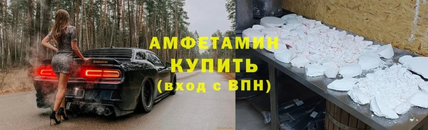 индика Арсеньев