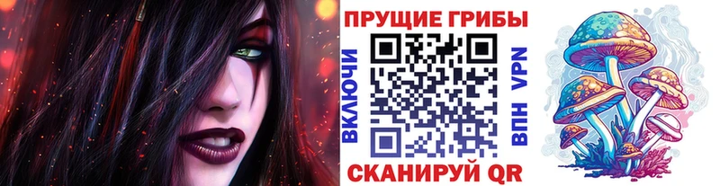 нарко площадка как зайти Суровикино Псилоцибиновые грибы мухоморы как найти